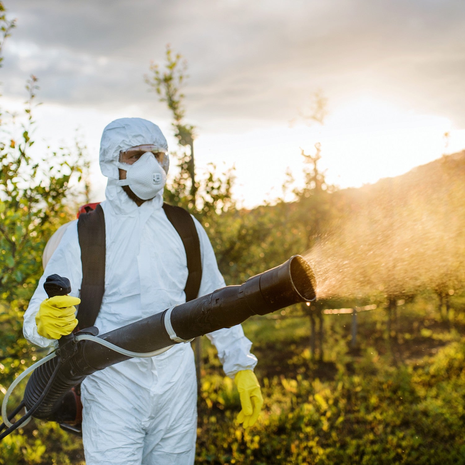 ASPERSOR MOCHILA 70CC - APL20G70