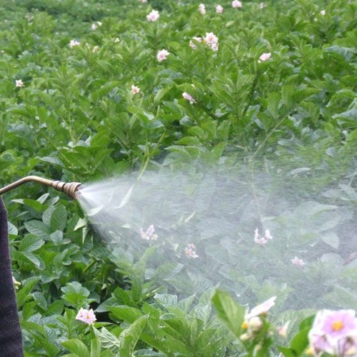 ASPERSOR MOCHILA 34CC  - ARL16G34