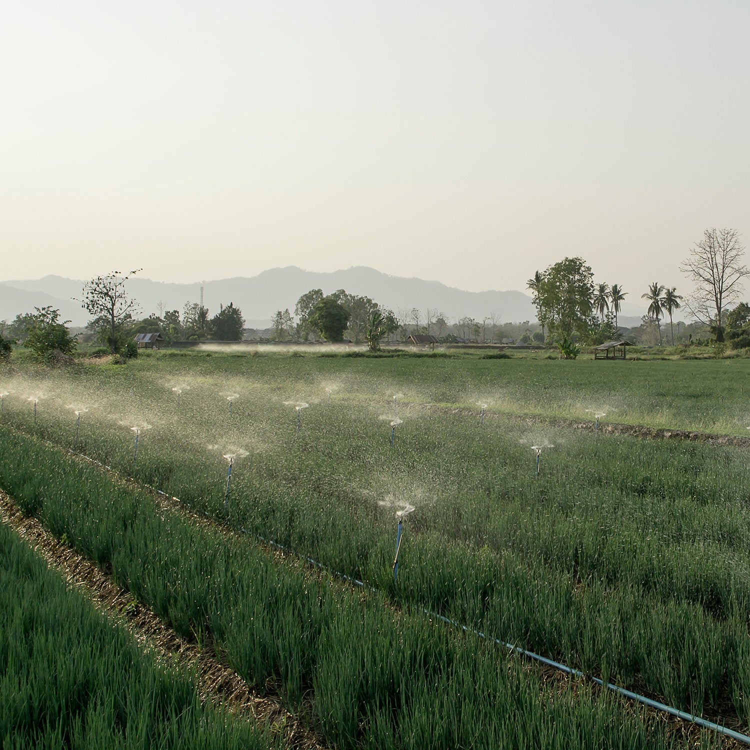 ABRAZADERA 2" - CLAMP200