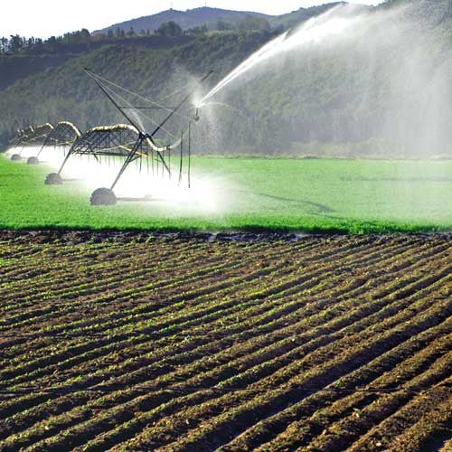 EQUIPO DE RIEGO SUMERGIBLE TRIFÁSICA 100GPM 3.0HP 220V - SD4100ME0300G