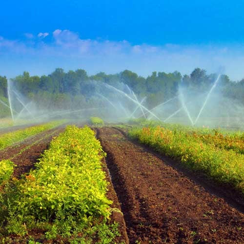 EQUIPO DE RIEGO SUMERGIBLE TRIFÁSICA 100GPM 5.0HP 220V - SD4100ME0500G