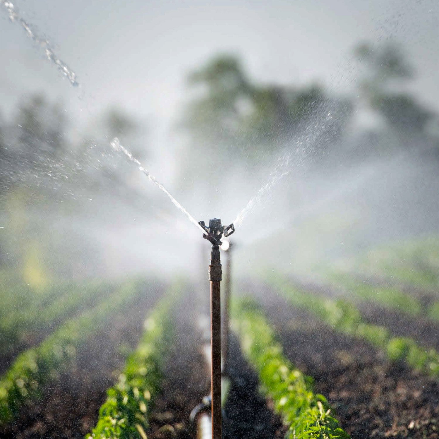 EQUIPO DE RIEGO SUMERGIBLE 8GPM 5.0HP 220V - SD410ME500G3