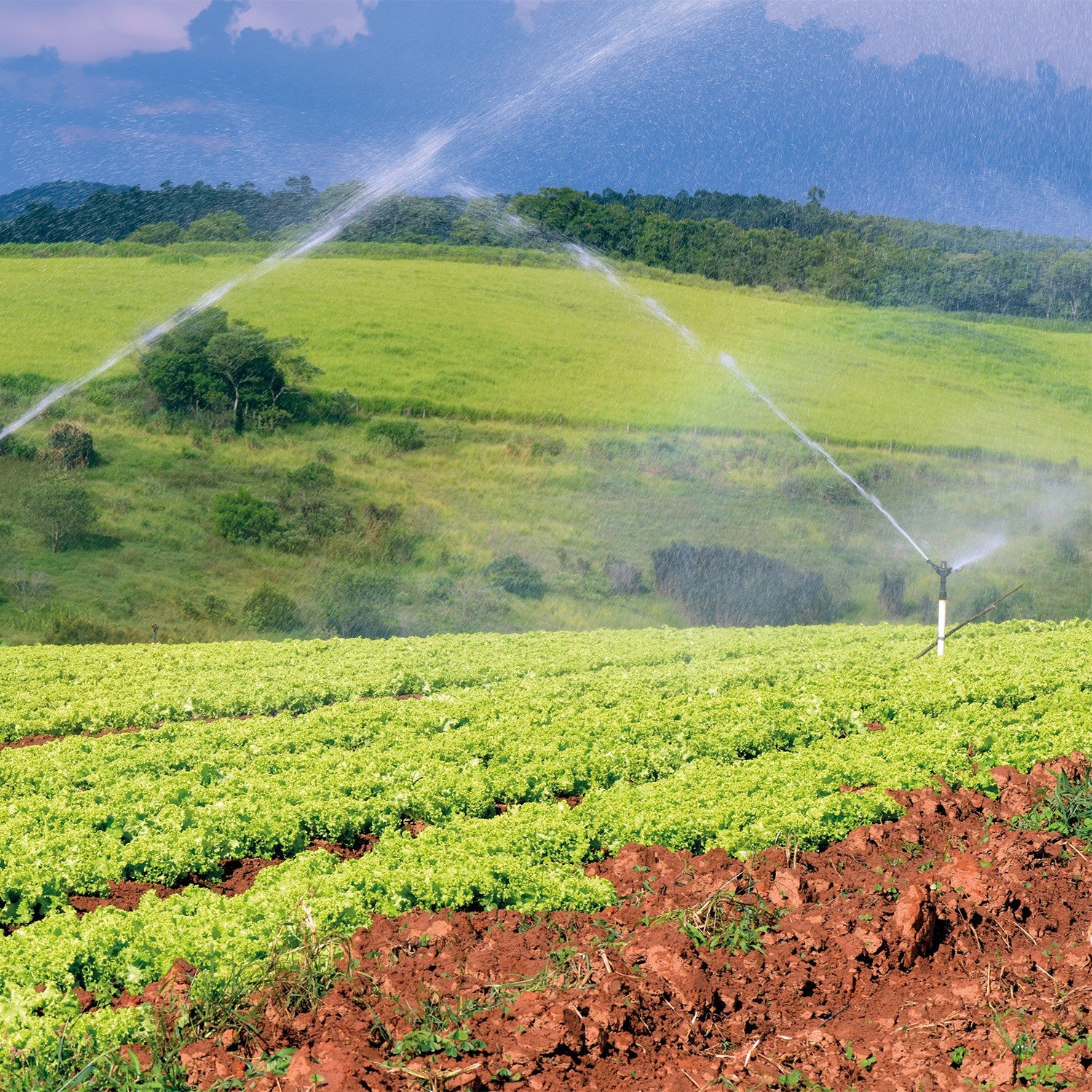 EQUIPO DE RIEGO SUMERGIBLE 16GPM 1.0HP 220V - SD416ME100G3