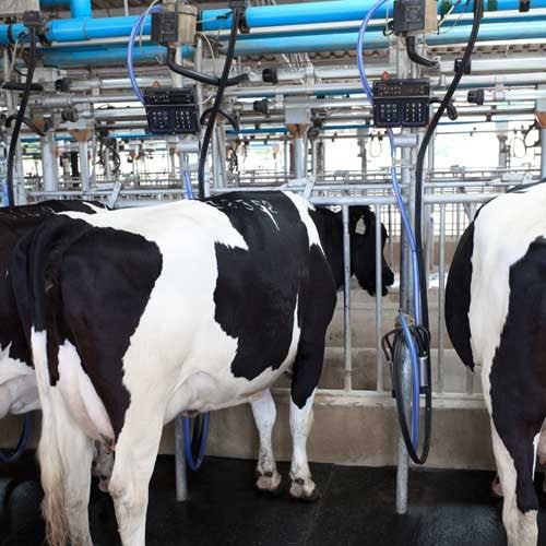 EQUIPO DE RIEGO SUMERGIBLE TRIFÁSICO 16GPM 1.5HP 220V - SD418ME0150G