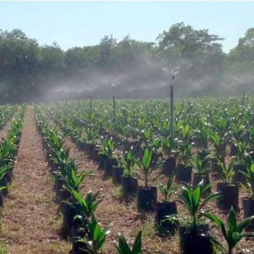 EQUIPO DE RIEGO SUMERGIBLE TRIFÁSICO 16GPM 2.0HP 220V - SD418ME0200G