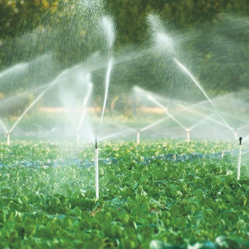 EQUIPO DE RIEGO SUMERGIBLE INOX 18GPM 5.0HP 220V - SD418ME500G3I