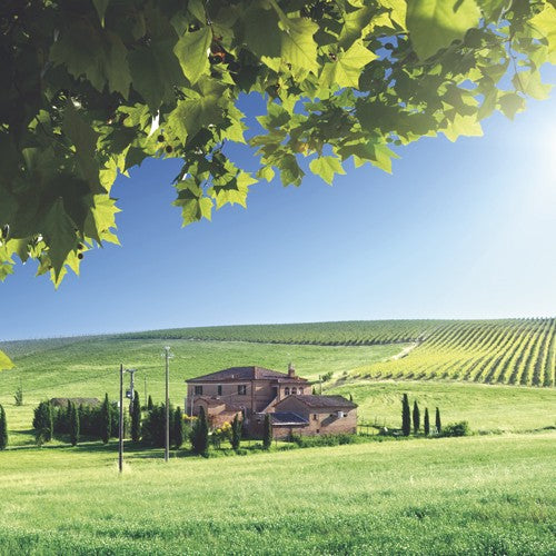 EQUIPO DE RIEGO SUMERGIBLE TRIFÁSICA INOX 25GPM 1.5HP 220V - SD425ME0150GI