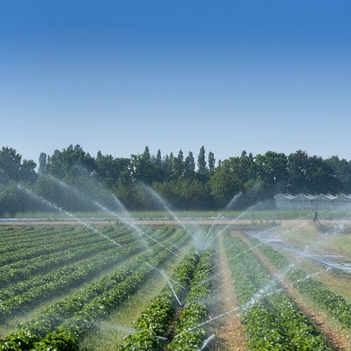 EQUIPO DE RIEGO SUMERGIBLE TRIFÁSICA INOX 25GPM 5.0HP 220V - SD425ME0500GI