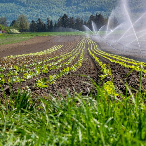 EQUIPO DE RIEGO SUMERGIBLE TRIFÁSICA INOX 25GPM 7.5HP 220V - SD425ME0750GI