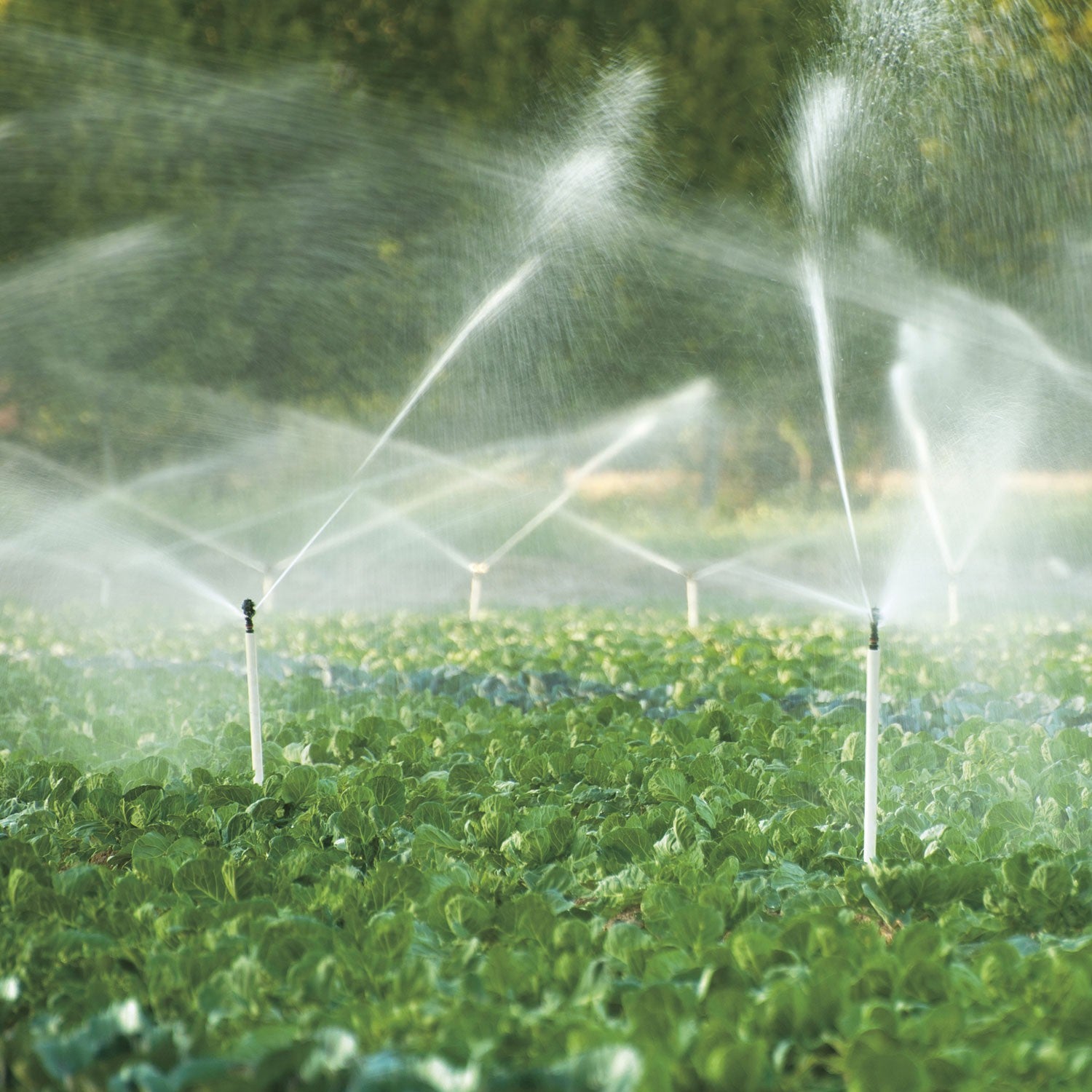 EQUIPO DE RIEGO SUMERGIBLE TRIFÁSICA 25GPM 7.5HP 220V - SD425ME0750G