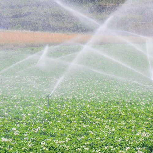 EQUIPO DE RIEGO SUMERGIBLE INOX 25GPM 1.5HP 220V - SD425ME150G3I