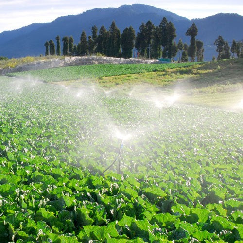 EQUIPO DE RIEGO SUMERGIBLE 25GPM 1.5HP 220V - SD425ME150G3