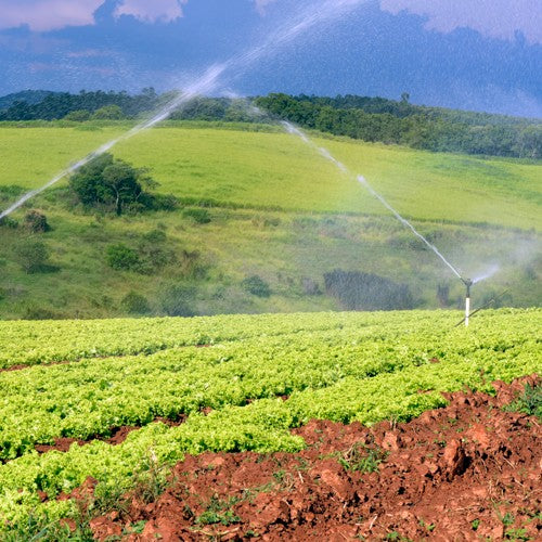 EQUIPO DE RIEGO SUMERGIBLE INOX 25GPM 3.0HP 220V - SD425ME300G3I