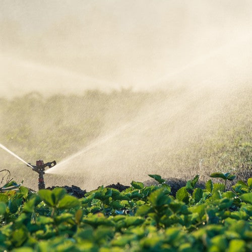 EQUIPO DE RIEGO SUMERGIBLE INOX 25GPM 5.0HP 220V - SD425ME500G3I