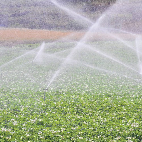 EQUIPO DE RIEGO SUMERGIBLE TRIFÁSICO INOX 45GPM 2.0HP 220V - SD445ME0200GI