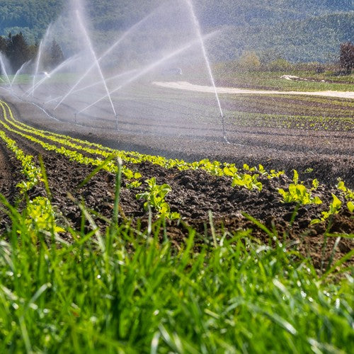 EQUIPO DE RIEGO SUMERGIBLE TRIFÁSICO INOX 45GPM 5.0HP 220V - SD445ME0500GI