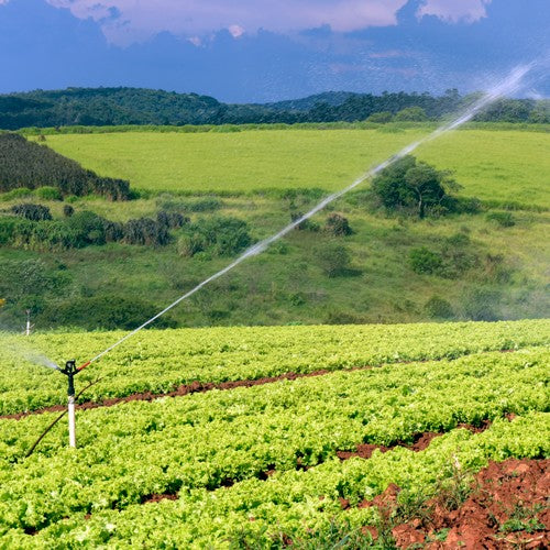 EQUIPO DE RIEGO SUMERGIBLE TRIFÁSICO INOX 45GPM 7.5HP 220V - SD445ME0750GI