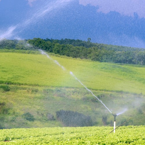 EQUIPO DE RIEGO SUMERGIBLE TRIFÁSICO INOX 45GPM 10.0HP 220V - SD445ME1000GI