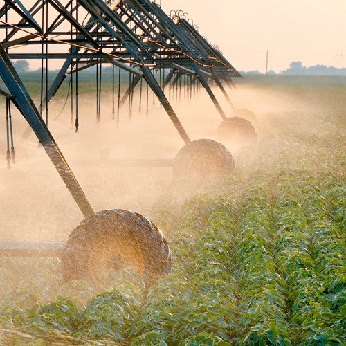 EQUIPO DE RIEGO SUMERGIBLE INOX 45GPM 5.0HP 220V - SD445ME500G3I