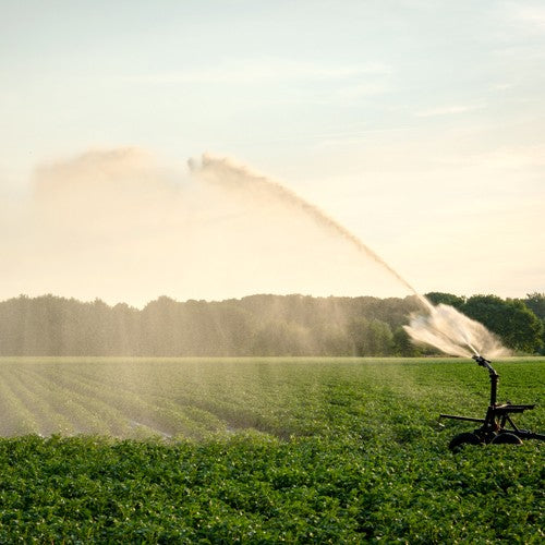 EQUIPO DE RIEGO SUMERGIBLE TRIFÁSICO INOX 60GPM 5.0HP 220V - SD460ME0500GI