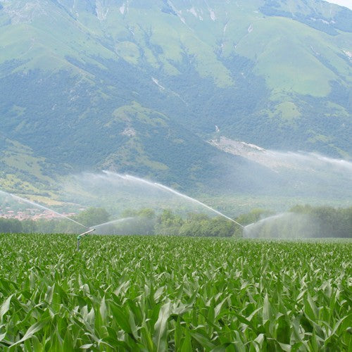 EQUIPO DE RIEGO SUMERGIBLE TRIFÁSICO INOX 60GPM 7.5HP 220V - SD460ME0750GI