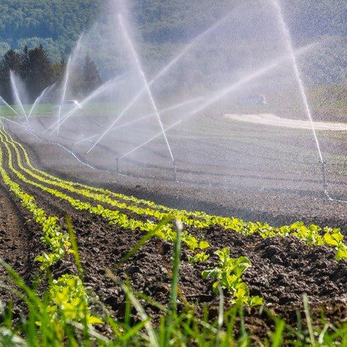 EQUIPO DE RIEGO SUMERGIBLE TRIFÁSICO INOX 60GPM 10.0HP 220V - SD460ME1000GI