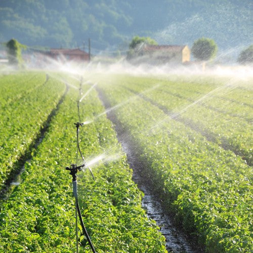 EQUIPO DE RIEGO SUMERGIBLE INOX 60GPM 5.0HP 220V - SD460ME500G3I