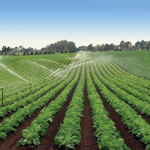 EQUIPO DE RIEGO SUMERGIBLE 60GPM 3.0HP 220V - SD480ME300G3