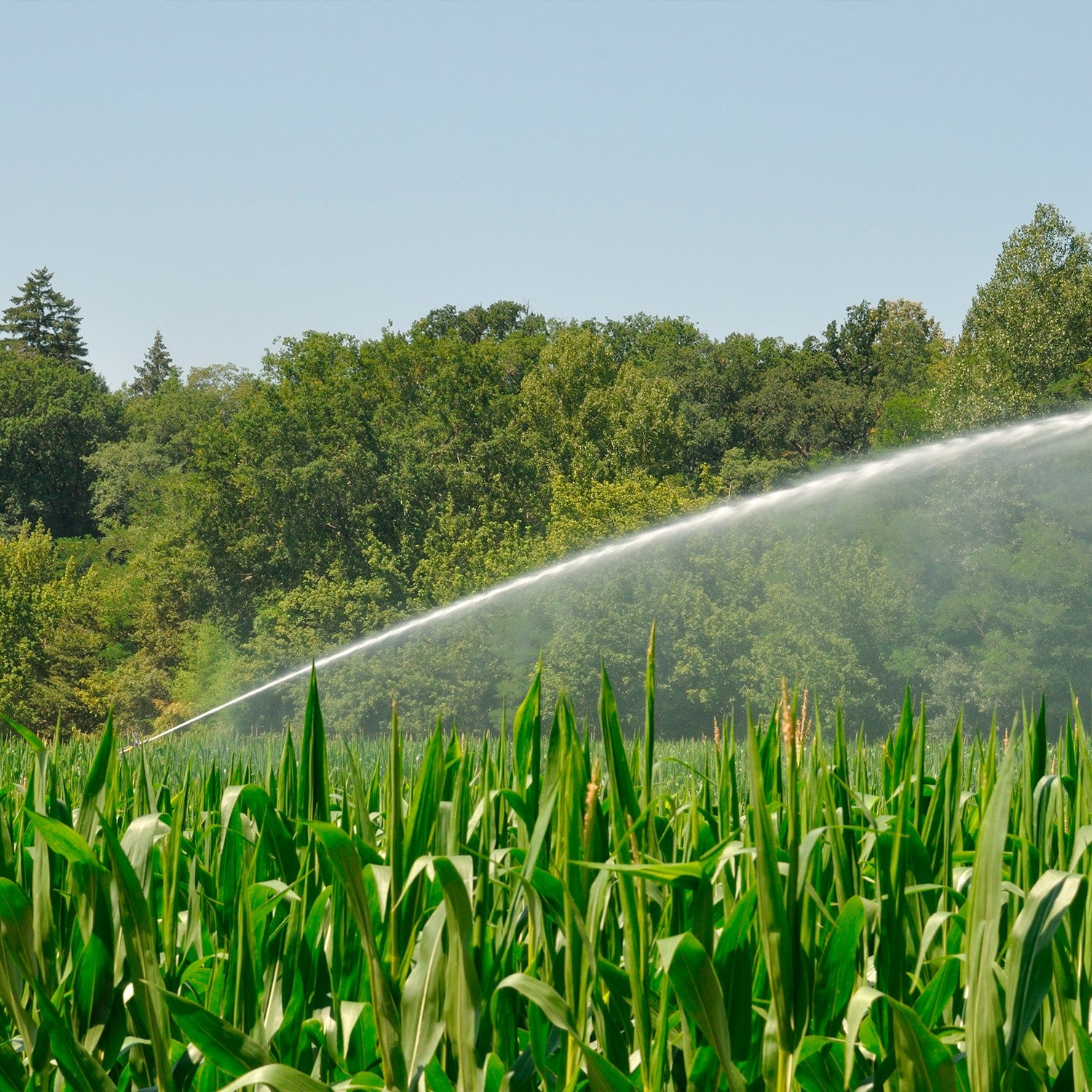 EQUIPO DE RIEGO SUMERGIBLE TRIFÁSICO INOX 130GPM 10.0HP 220V - SD6130ME1000GI