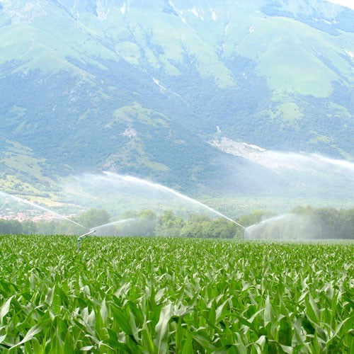 EQUIPO DE RIEGO SUMERGIBLE TRIFÁSICO INOX 130GPM 10.0HP 440V - SD6130ME1000HI