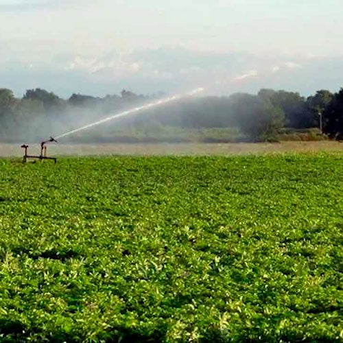 EQUIPO DE RIEGO SUMERGIBLE TRIFÁSICO INOX 130GPM 20.0HP 220V - SD6130ME2000GI