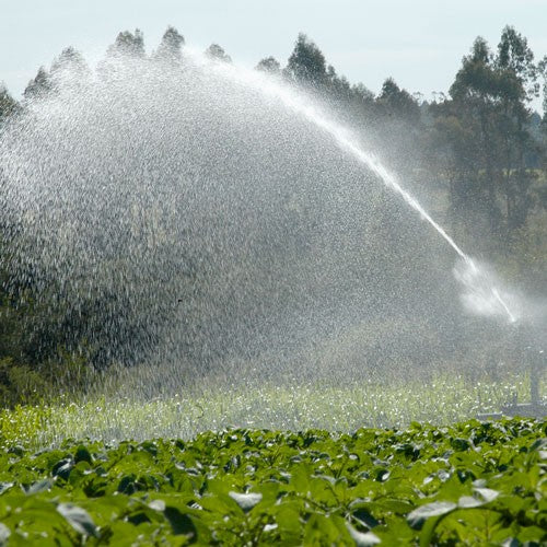 EQUIPO DE RIEGO SUMERGIBLE TRIFÁSICO INOX 130GPM 25.0HP 440V - SD6130ME2500HI