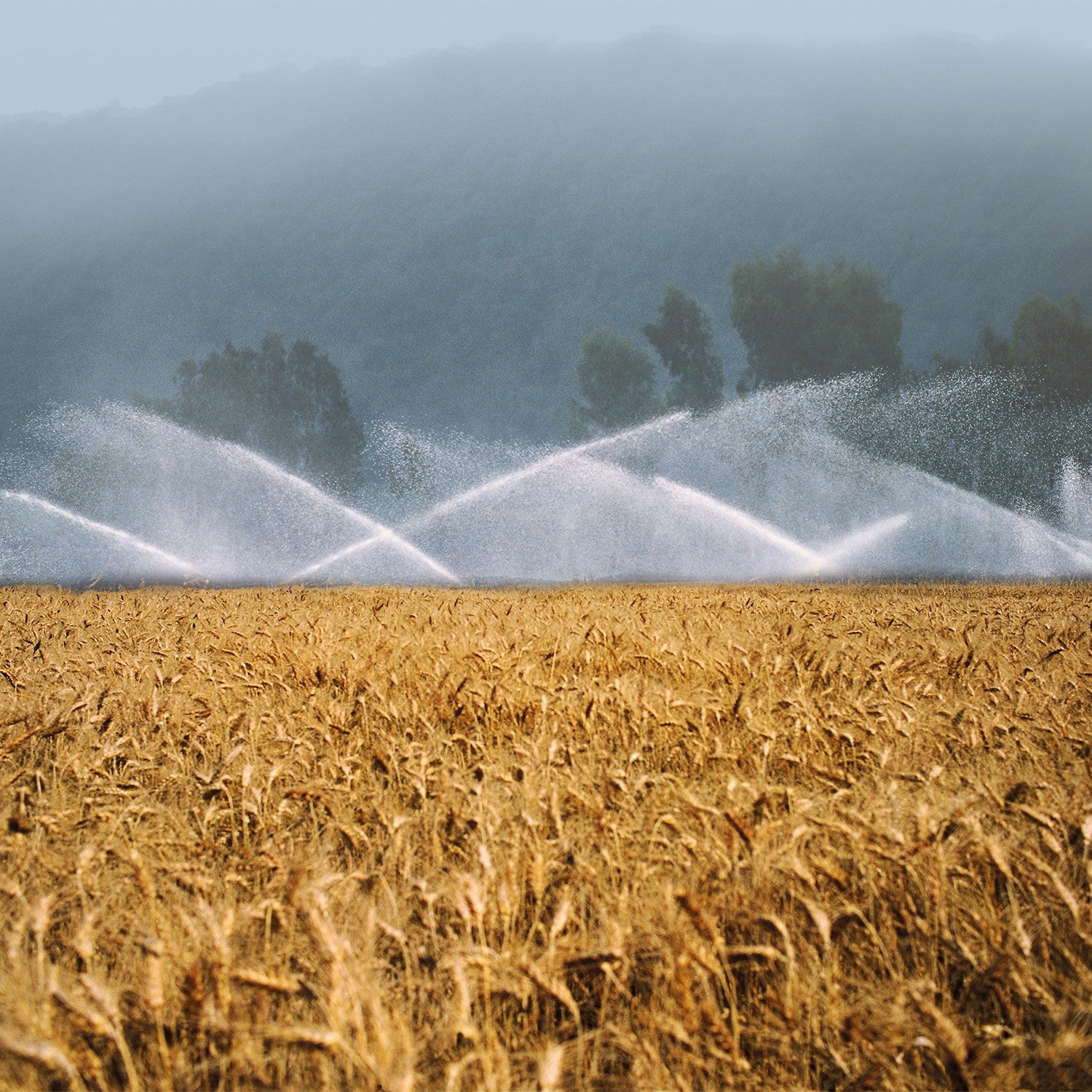 EQUIPO DE RIEGO SUMERGIBLE INOX TRIFÁSICA 130GPM 60.0HP 440V - SD6130ME6000HI