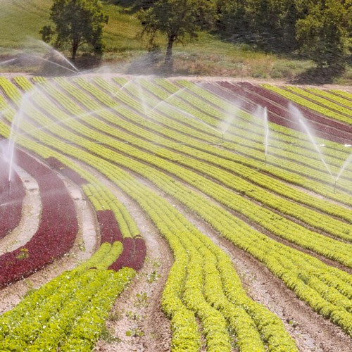 EQUIPO DE RIEGO SUMERGIBLE TRIFÁSICO INOX 200GPM 10.0HP 440V - SD6200ME1000HI