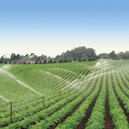 EQUIPO DE RIEGO SUMERGIBLE TRIFÁSICO INOX 200GPM 20.0HP 220V - SD6200ME2000GI