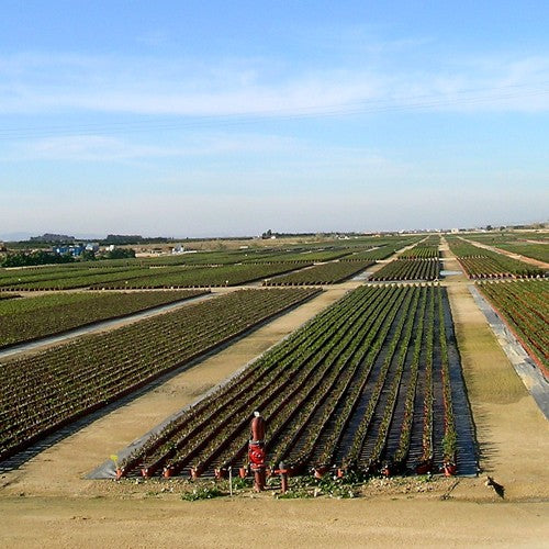 EQUIPO DE RIEGO SUMERGIBLE TRIFÁSICO INOX 200GPM 25.0HP 220V - SD6200ME2500GI