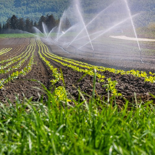 EQUIPO DE RIEGO SUMERGIBLE TRIFÁSICO INOX 200GPM 25.0HP 440V - SD6200ME2500HI