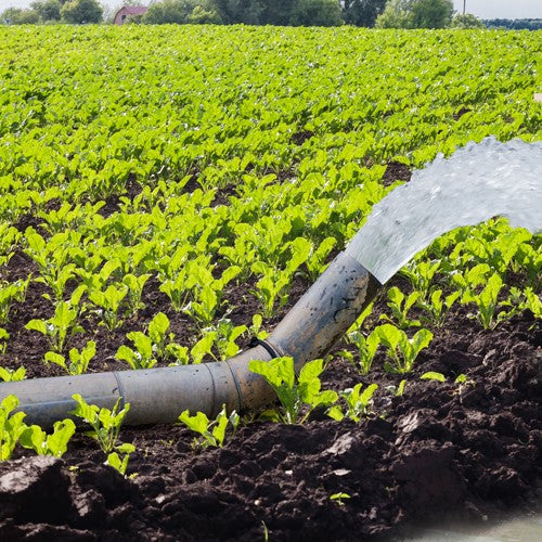 EQUIPO DE RIEGO SUMERGIBLE TRIFÁSICO INOX 200GPM 40.0HP 440V - SD6200ME4000HI