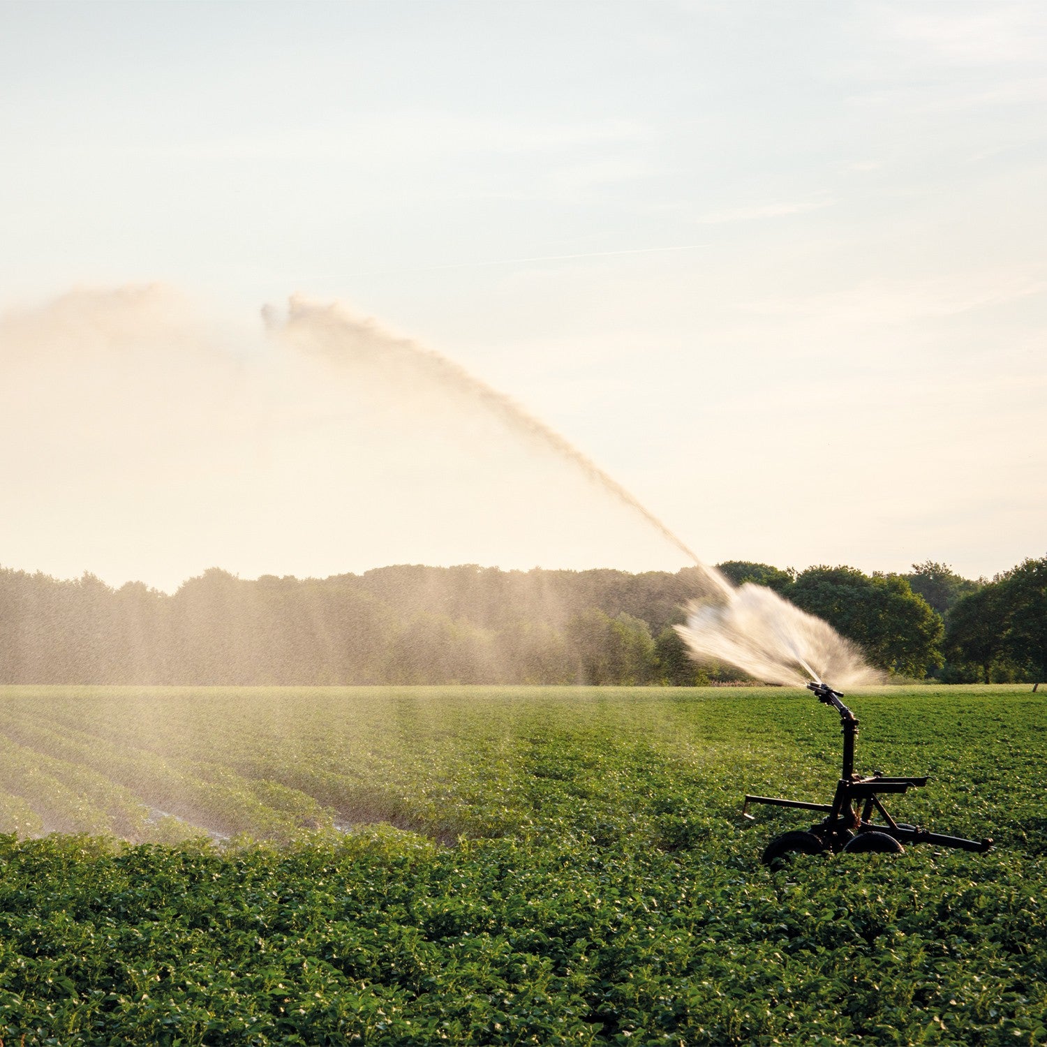 EQUIPO DE RIEGO SUMERGIBLE INOX TRIFÁSICA 200GPM 60.0HP 440V - SD6200ME6000HI