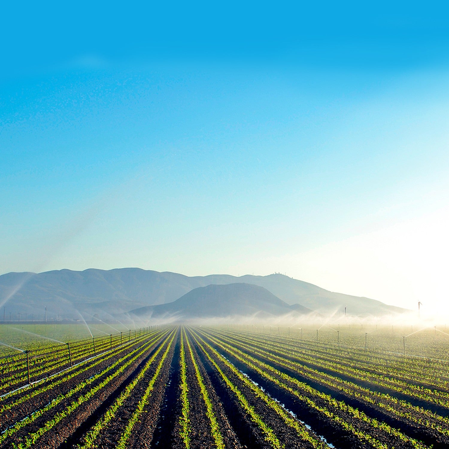 EQUIPO DE RIEGO SUMERGIBLE TRIFÁSICO INOX 270GPM 10.0HP 220V - SD6270ME1000GI