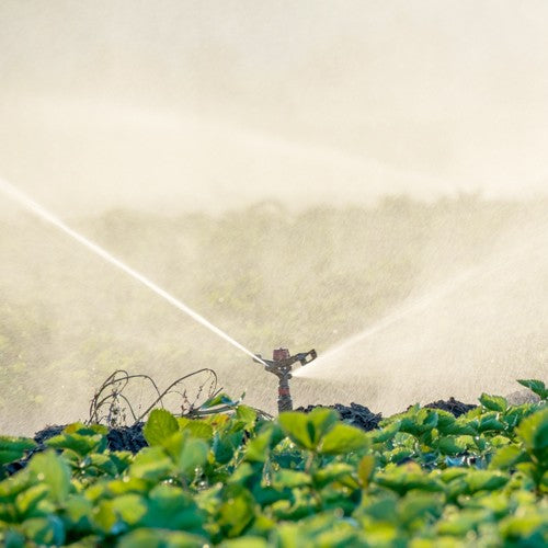 EQUIPO DE RIEGO SUMERGIBLE TRIFÁSICO INOX 270GPM 15.0HP 440V - SD6270ME1500HI