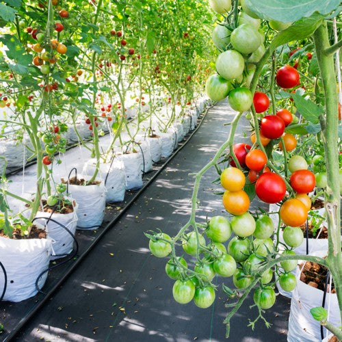 EQUIPO DE RIEGO SUMERGIBLE TRIFÁSICO INOX 270GPM 30.0HP 440V - SD6270ME3000HI