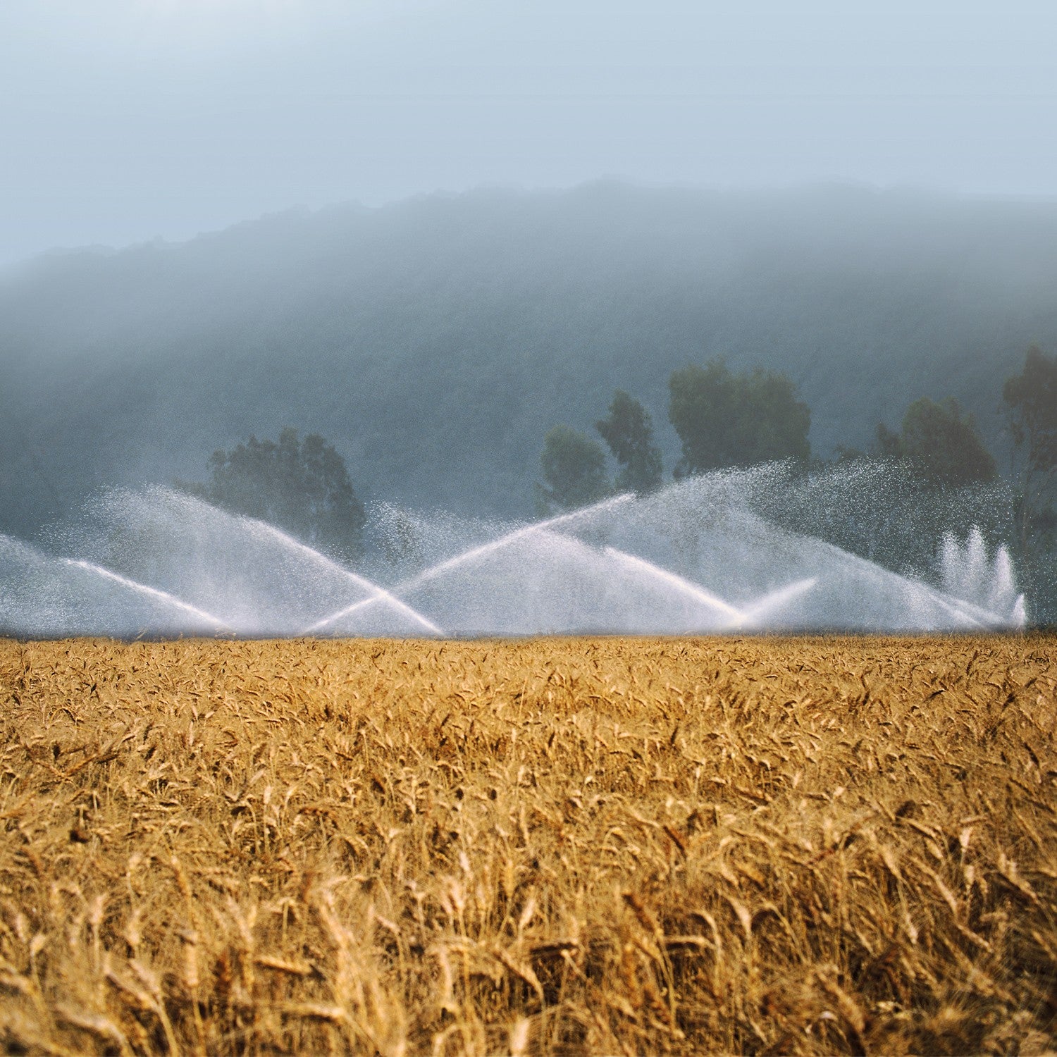 EQUIPO DE RIEGO SUMERGIBLE INOX TRIFÁSICA 80GPM 15.0HP 440V - SD680ME1500HI