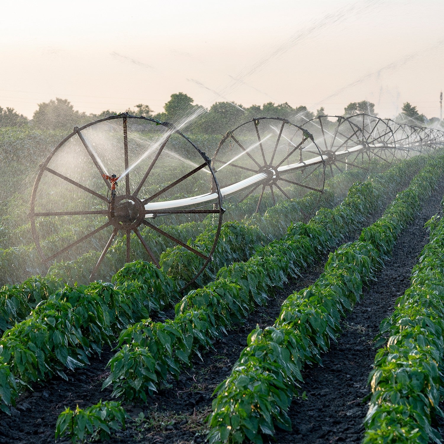 EQUIPO DE RIEGO SUMERGIBLE INOX TRIFÁSICA 80GPM 20.0HP 440V - SD680ME2000HI