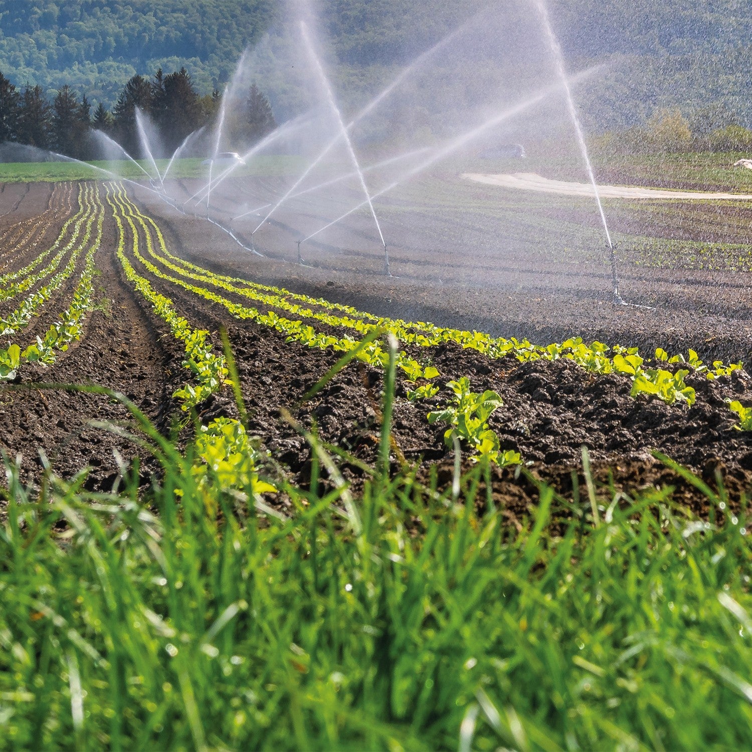 EQUIPO DE RIEGO SUMERGIBLE INOX TRIFÁSICA 80GPM 30.0HP 440V - SD680ME3000HI