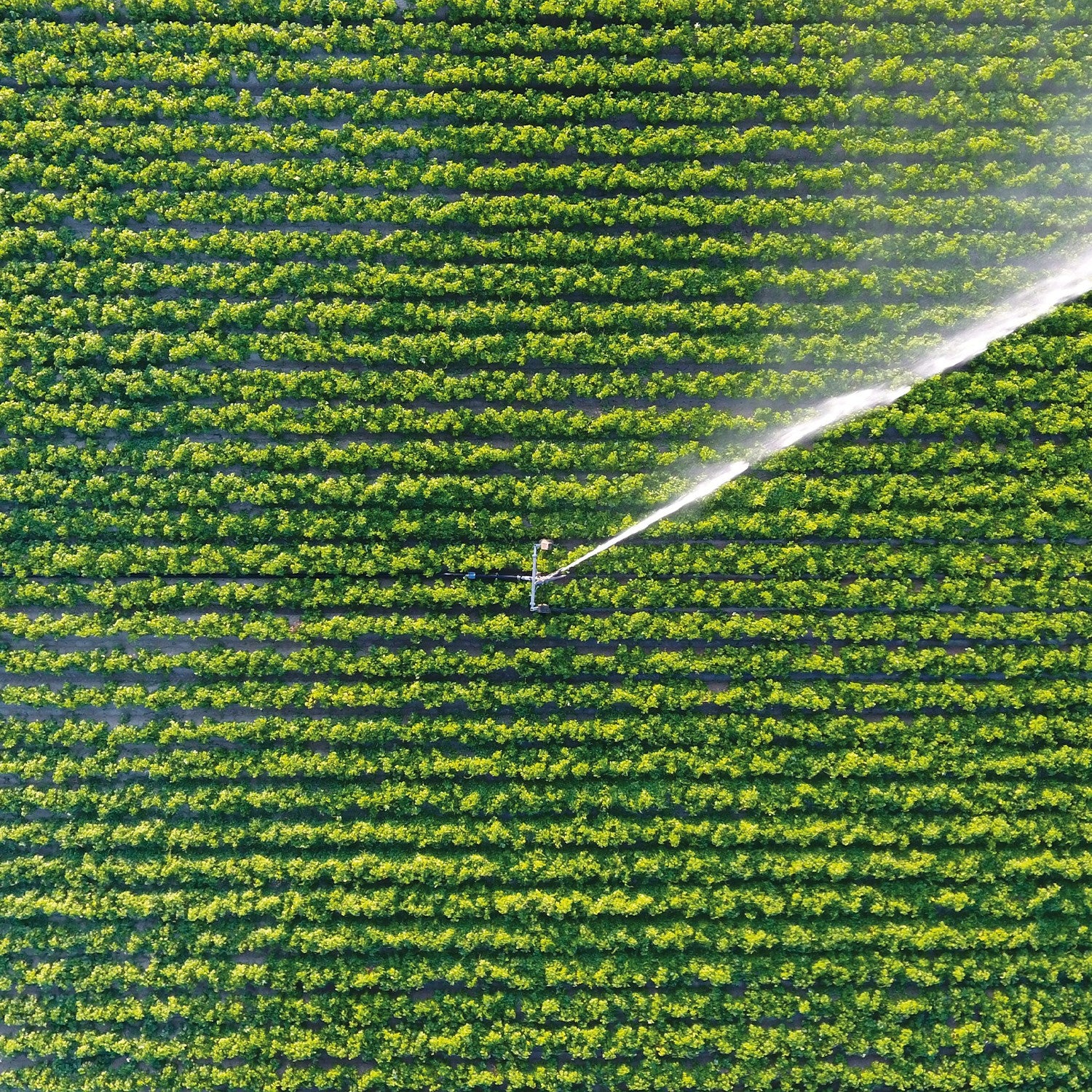 EQUIPO DE RIEGO SUMERGIBLE INOX TRIFÁSICA 80GPM 50.0HP 440V - SD680ME5000HI