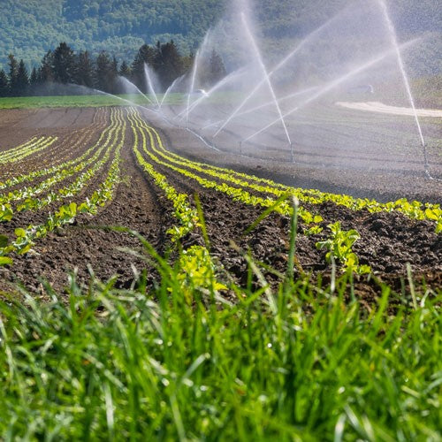 EQUIPO DE RIEGO SUMERGIBLE TRIFÁSICO INOX 90GPM 20.0HP 440V - SD690ME2000HI