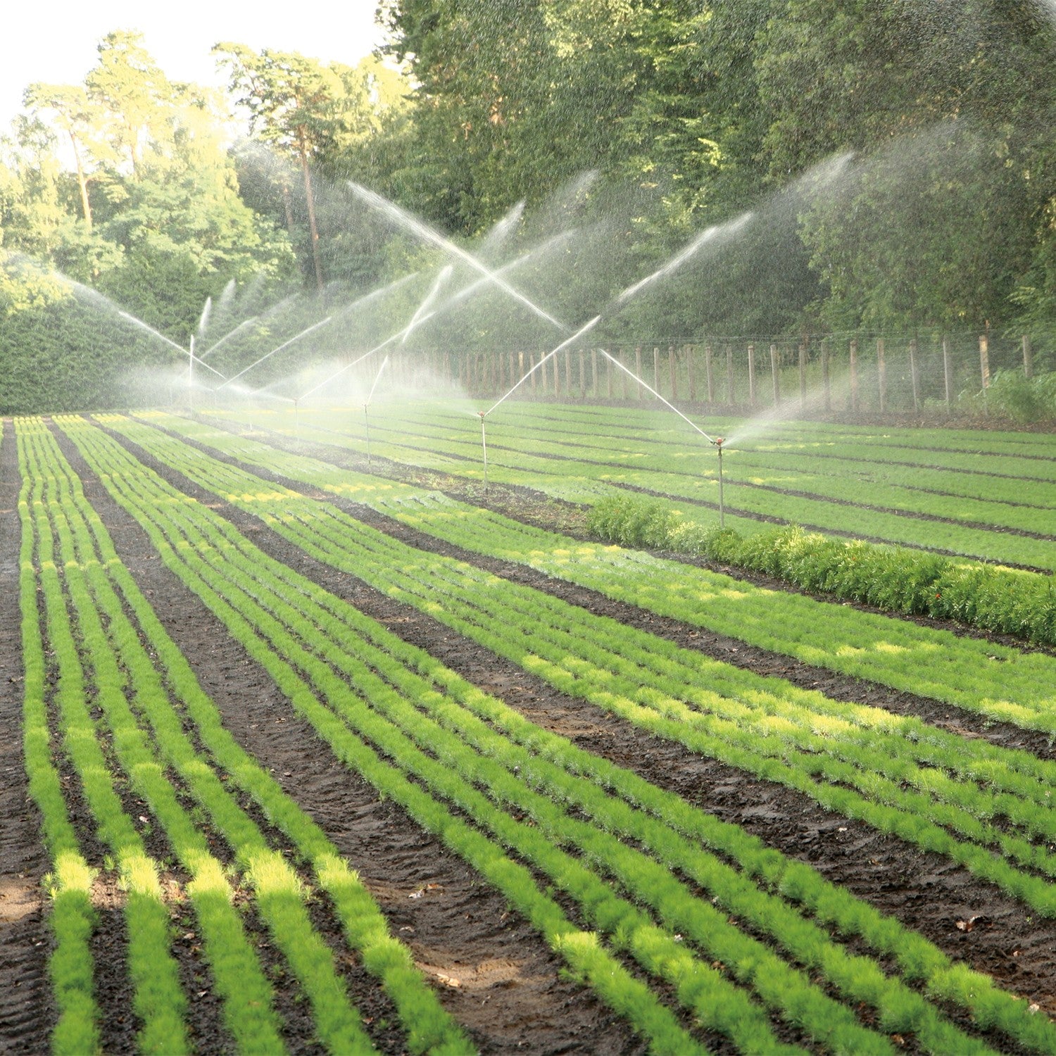 EQUIPO DE RIEGO SUMERGIBLE 18GPM 1.5HP 220V - SSX1ME150G2C