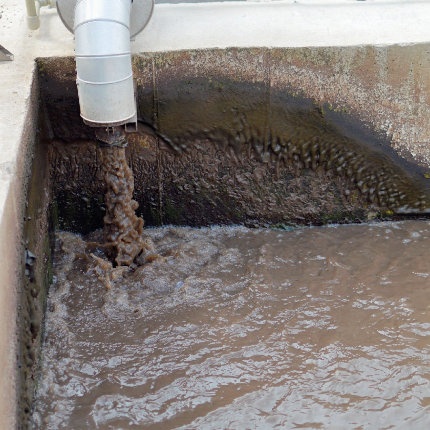 BOMBA SUMERGIBLE PARA LODOS 2.0HP TRIFÁSICA - SV3ME0200G2P