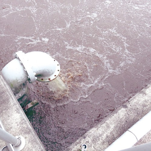 BOMBA INOXIDABLE PARA LODOS TRIFÁSICA 2.0HP 220V - SV3ME0200G-I